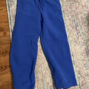 Aritzia royal Blue Sweatpants